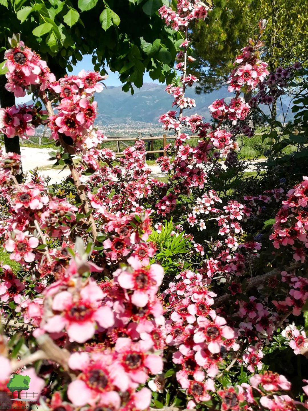 Vila La Staccionata Arpino Exteriér fotografie
